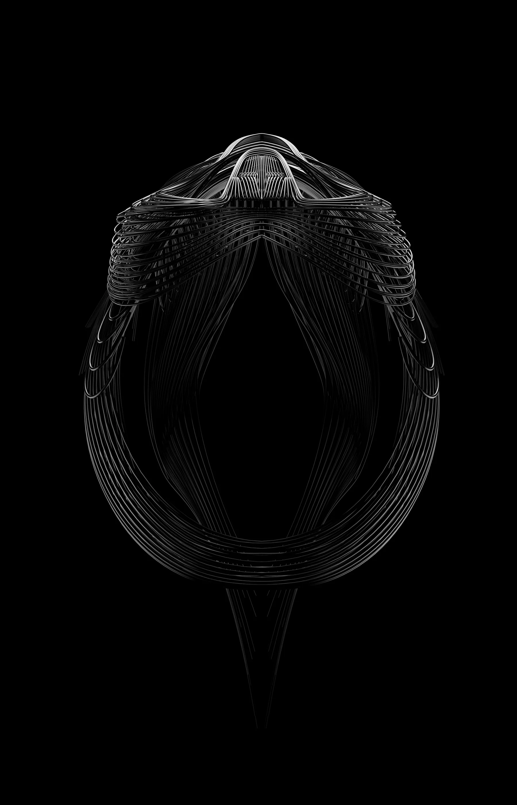 Fibretrooper, A StormTrooper helmet in linear morphology (2016)