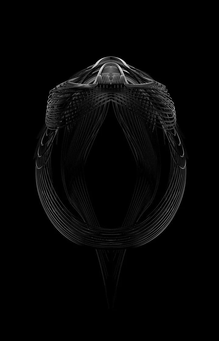 Fibretrooper, A StormTrooper helmet in linear morphology (2016)