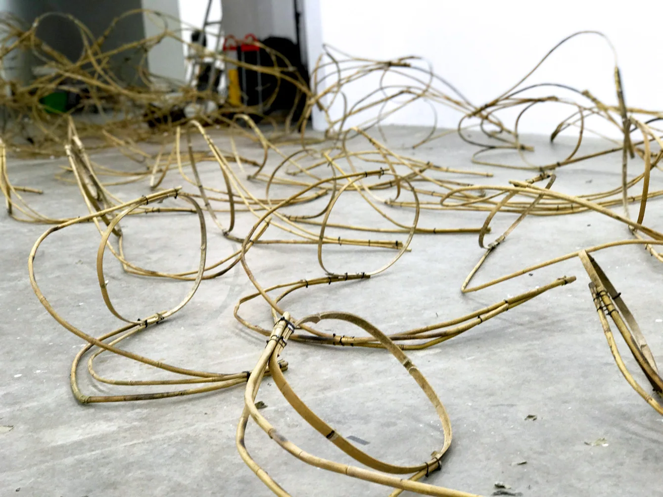 Modern Body Festival Installation (2017) — image 3 of 20