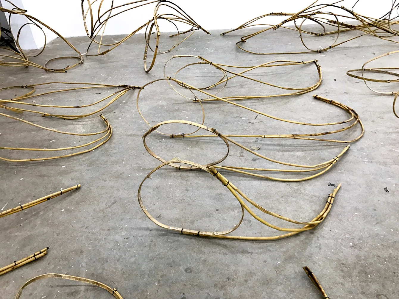 Modern Body Festival Installation (2017) — image 4 of 20