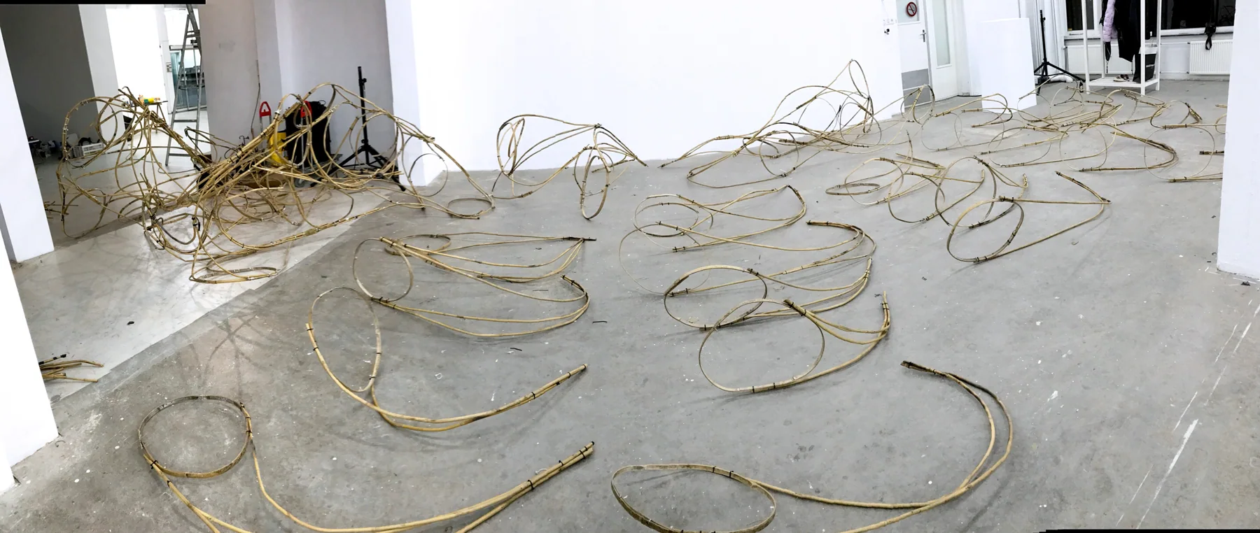 Modern Body Festival Installation (2017) — image 5 of 20