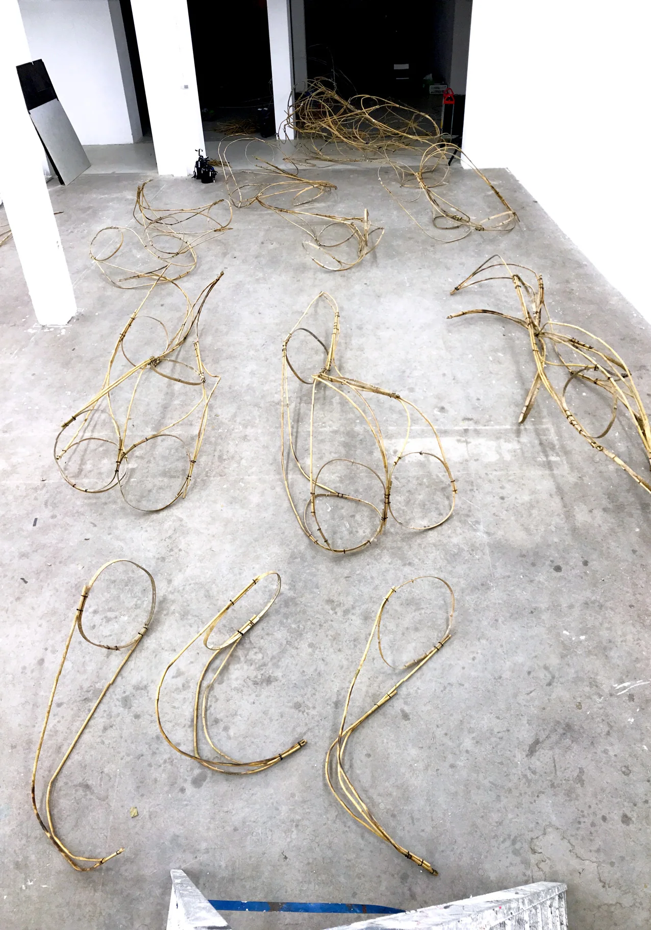 Modern Body Festival Installation (2017) — image 6 of 20