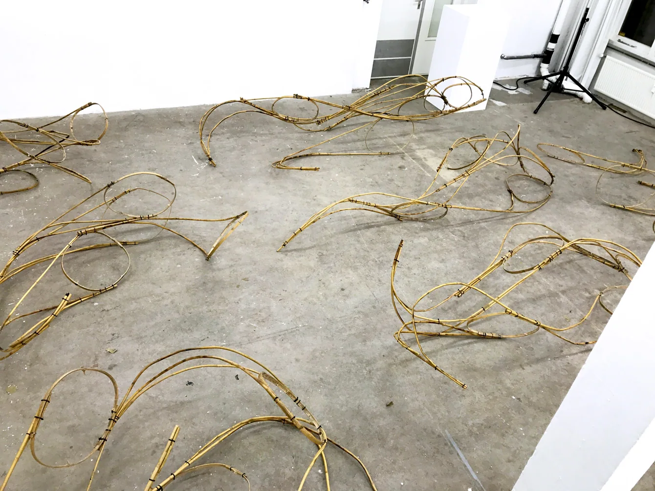 Modern Body Festival Installation (2017) — image 7 of 20