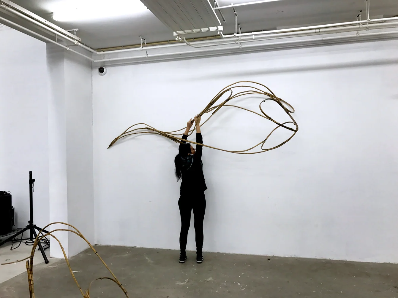 Modern Body Festival Installation (2017) — image 9 of 20