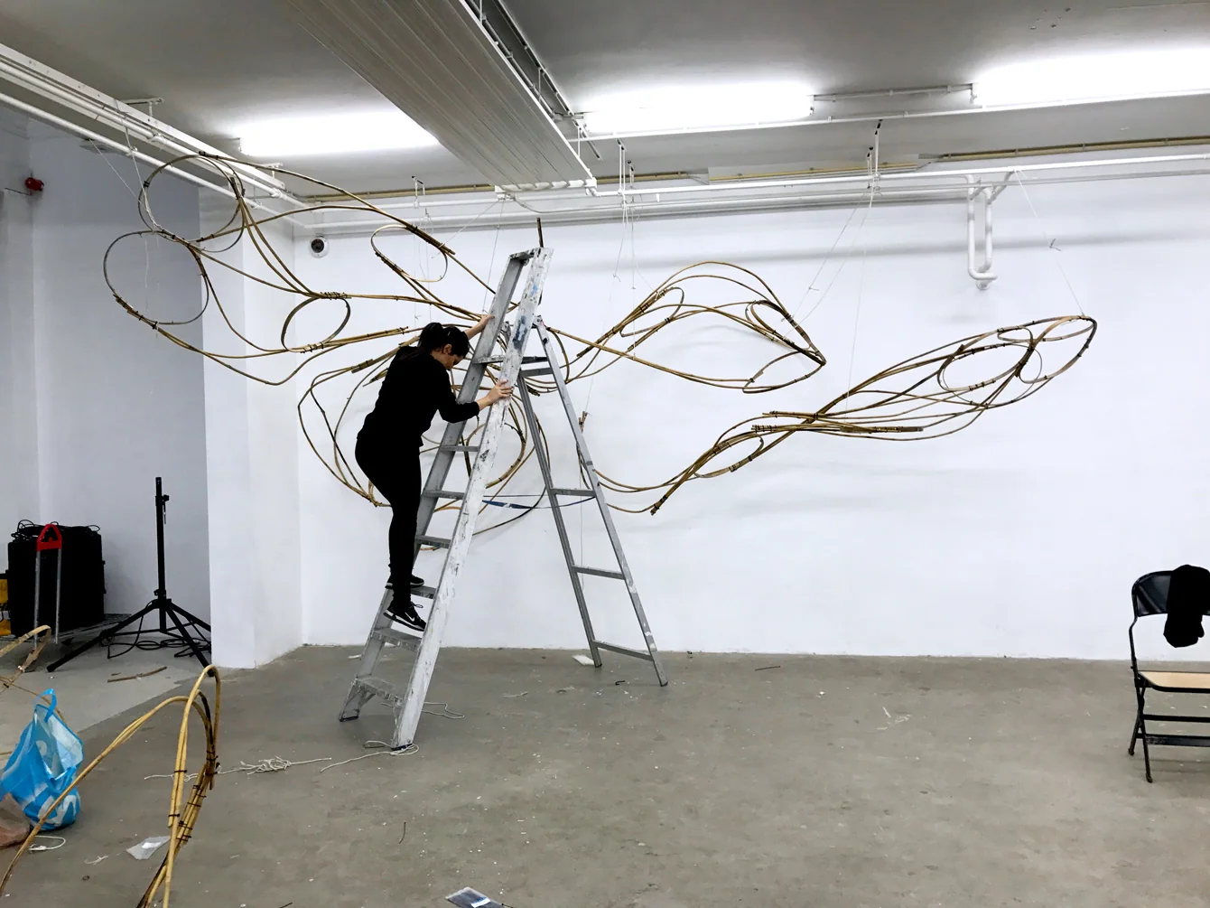 Modern Body Festival Installation (2017) — image 12 of 20
