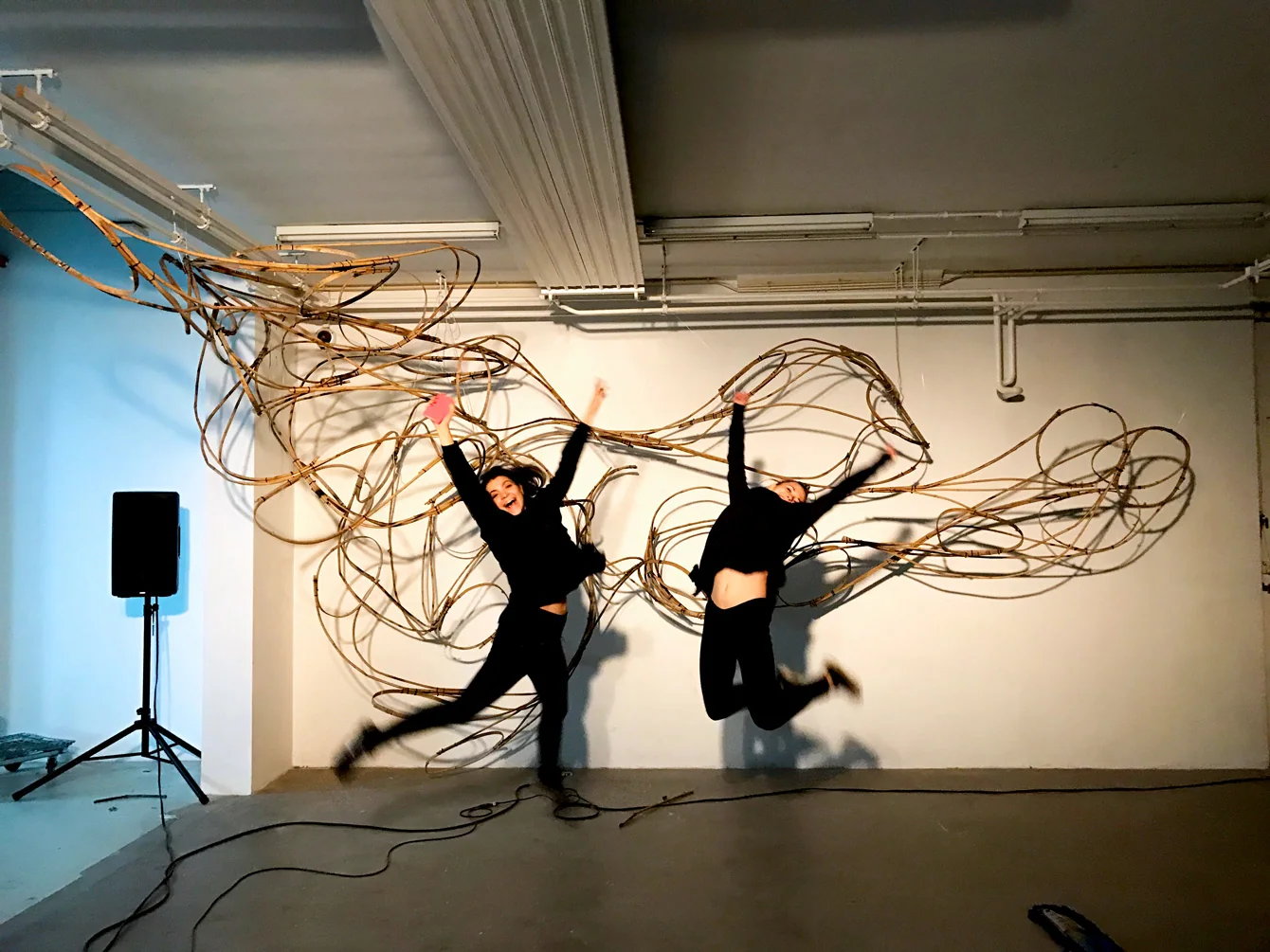 Modern Body Festival Installation (2017) — image 14 of 20