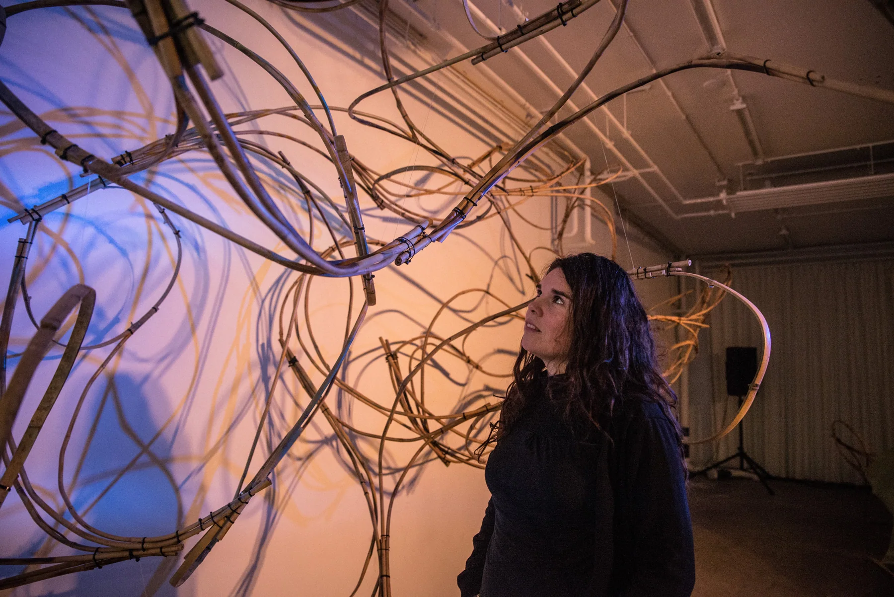Modern Body Festival Installation (2017) — image 15 of 20
