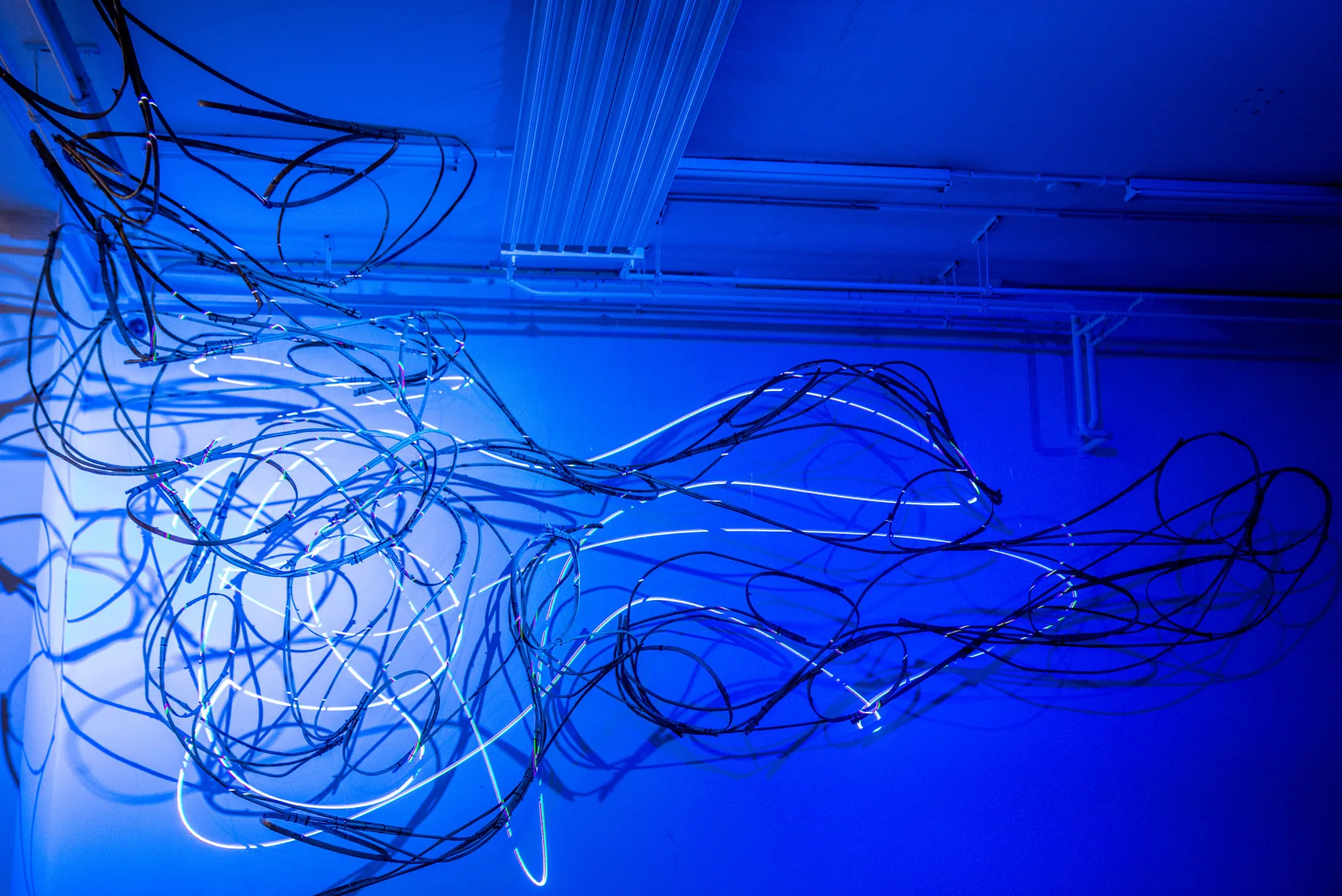 Modern Body Festival Installation (2017) — image 16 of 20