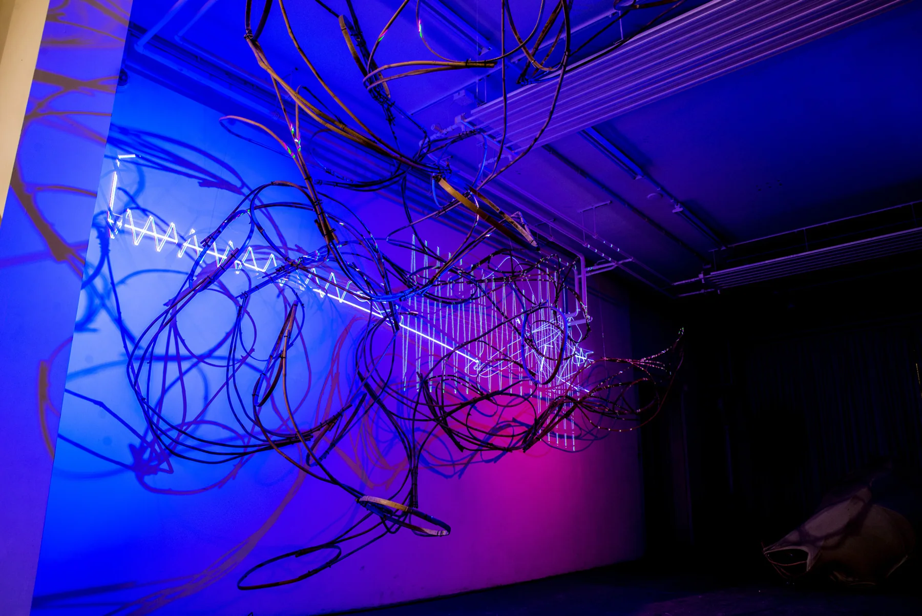 Modern Body Festival Installation (2017) — image 17 of 20