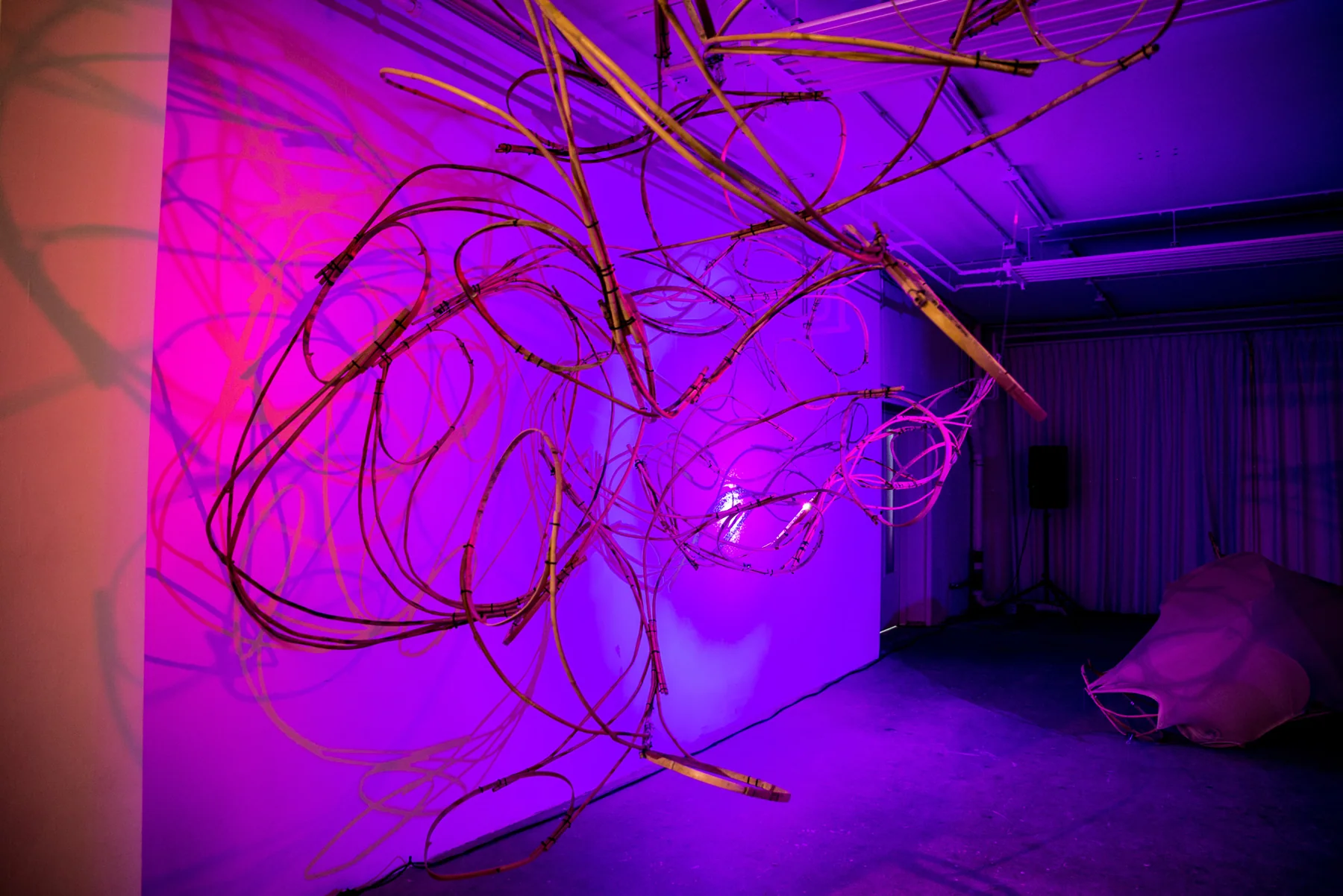 Modern Body Festival Installation (2017) — image 18 of 20