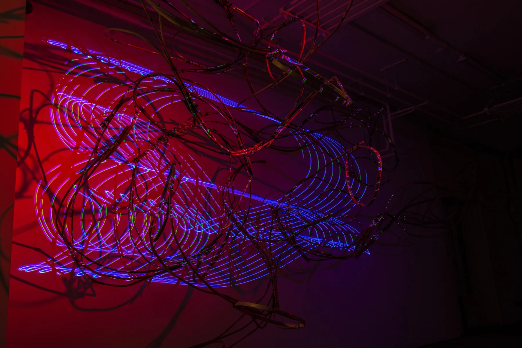 Modern Body Festival Installation (2017) — image 19 of 20