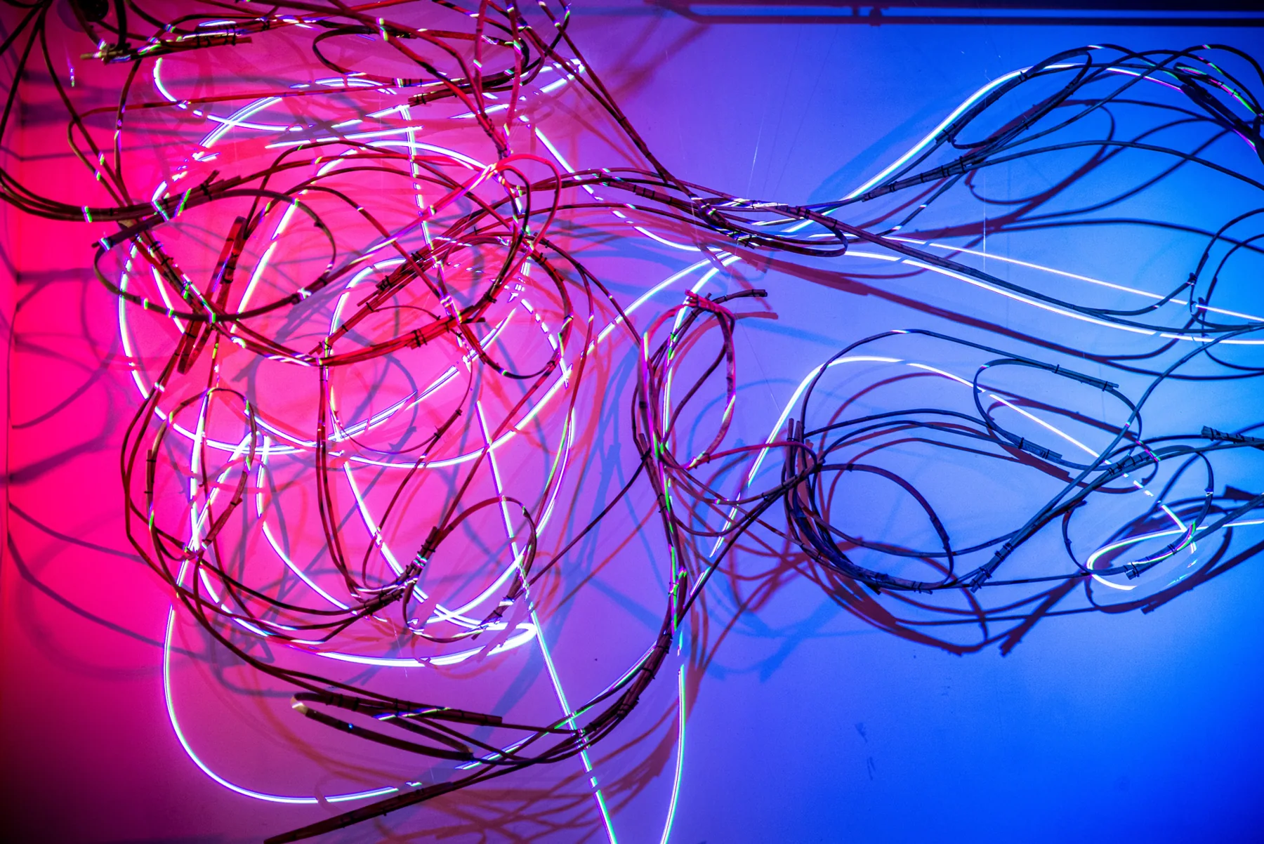 Modern Body Festival Installation (2017) — image 20 of 20