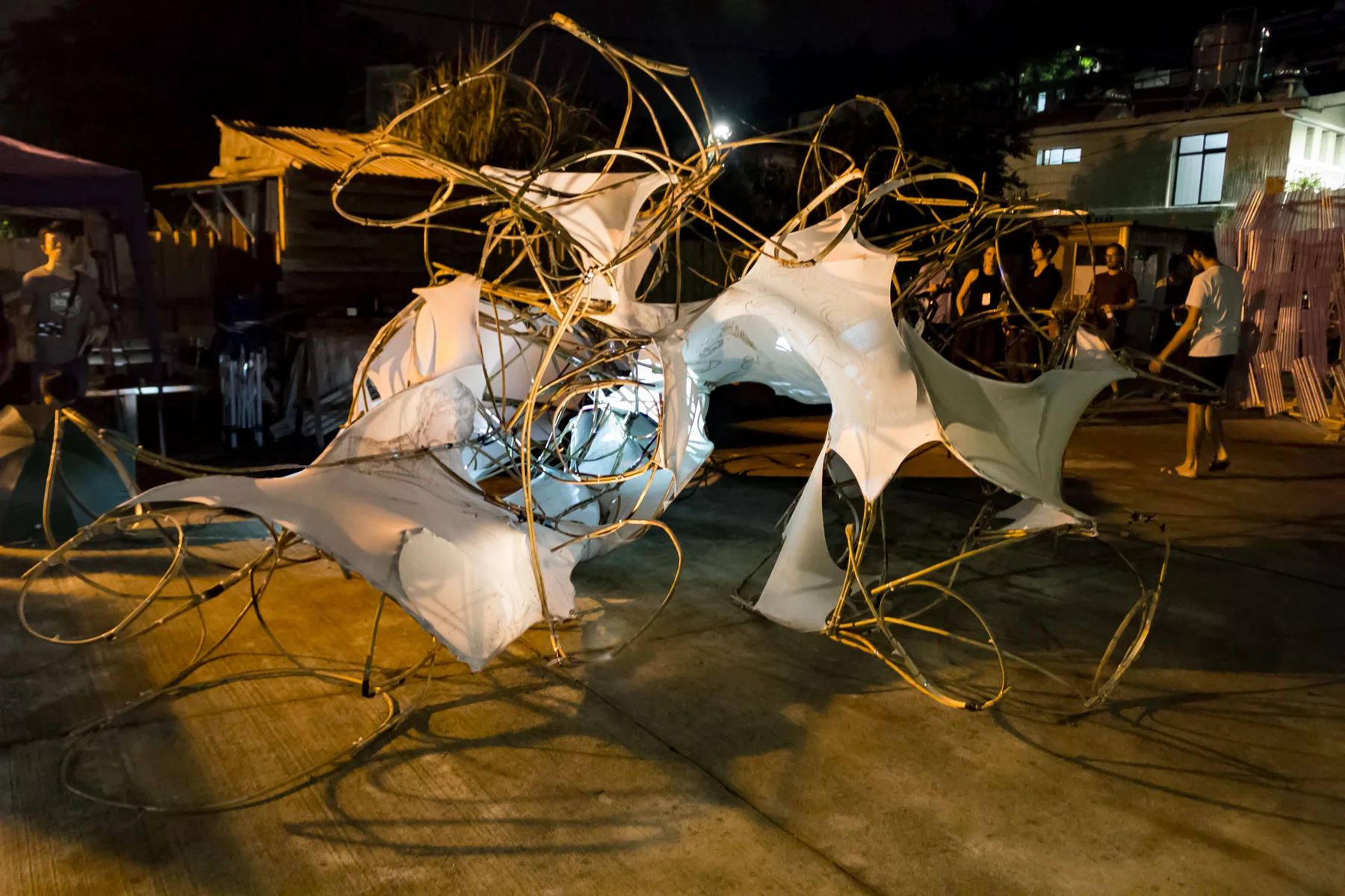 The Woven Memory (2016) — image 19 of 24