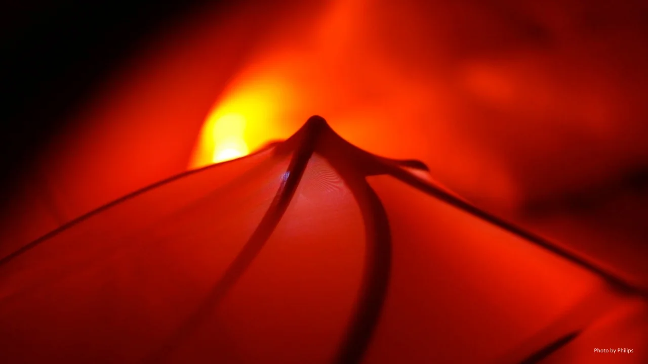 Trans-Computational Pavilion, Membrane structure + interactive lighting (2013) — image 2 of 8