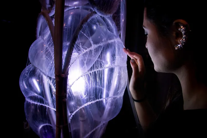 Trans-Computational Pavilion 3.0, Roca Madrid Gallery, AA Visiting School 2015 (2015)