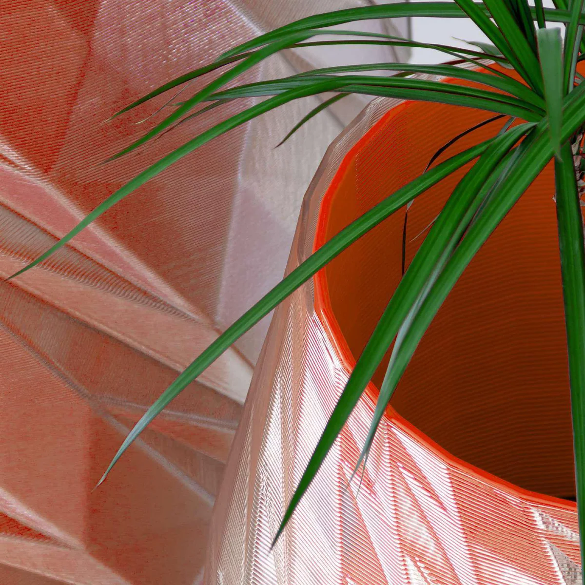 Vitrus, for Nagami (2020) — image 3 of 4