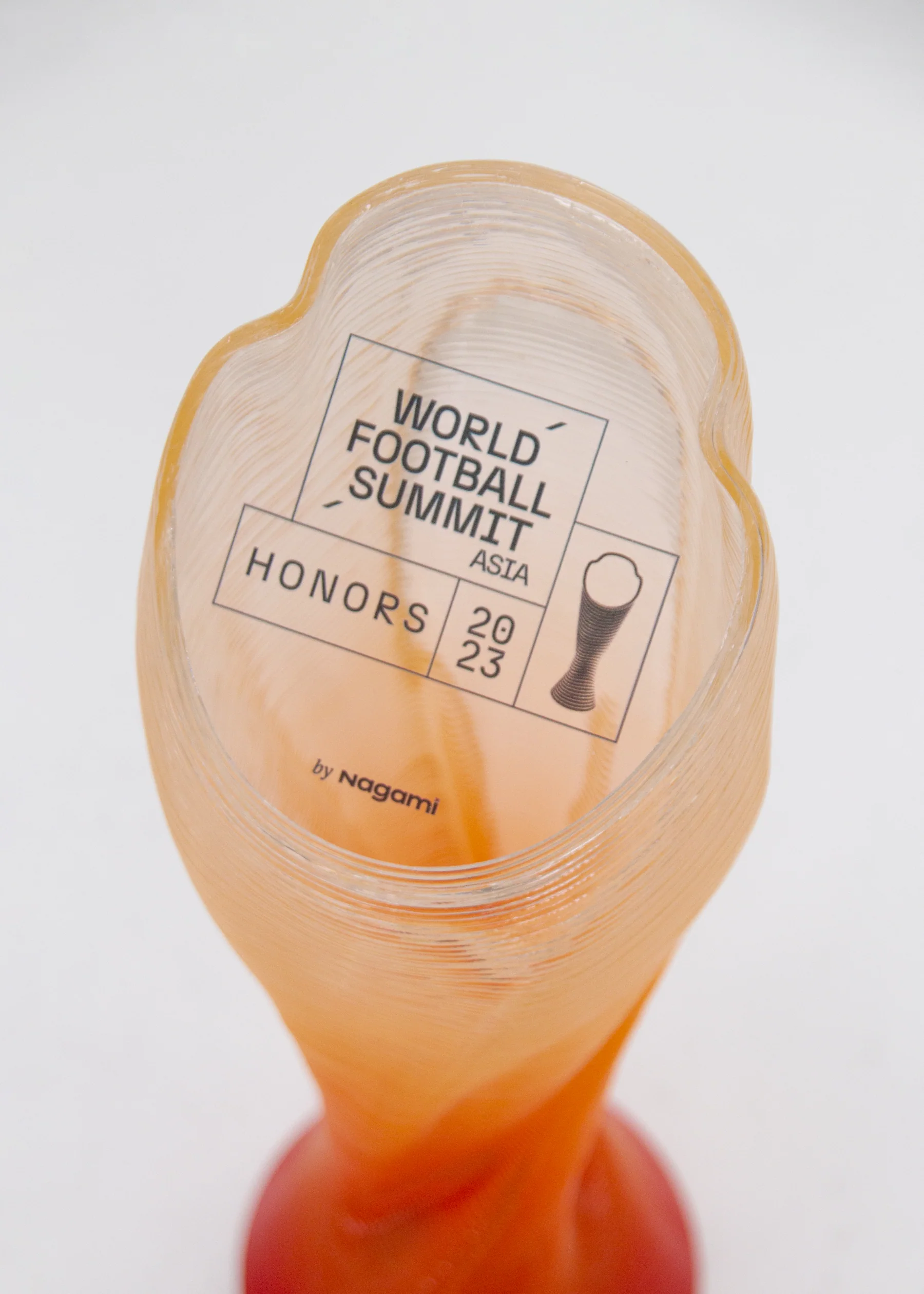 World Football Summit Awards, Nagami for World Football Summit (2023) — image 4 of 20